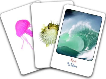 Clasificare. pamant aer apa - Montessori 