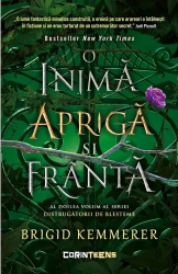 Distrugatorii de blesteme volumul 2. O inima apriga si franta Brigid Kemmerer 
