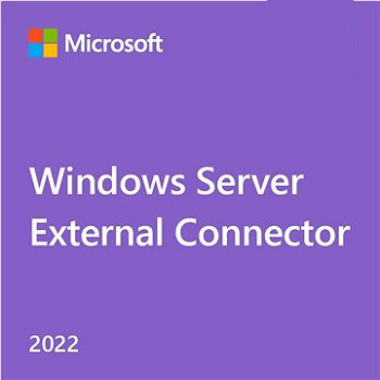 Sistem de operare server Microsoft Windows Server 2022 External Connector Perpetual