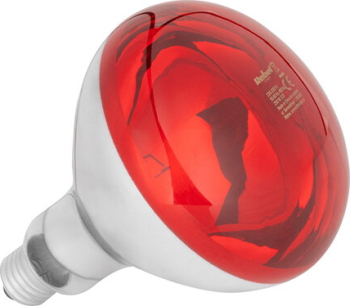 BEC INFRAROȘU CREȘTERE PUI E27 R125 150W Rebel