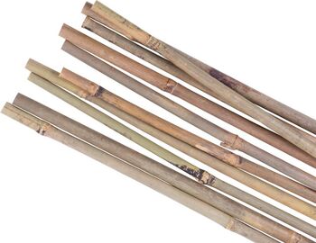 Set 10 araci din bambus pentru gradina 150 cm  1.6-1.8 cm &ndash rosii