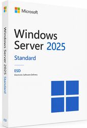 Microsoft Windows Server 2025 Standard ESD
