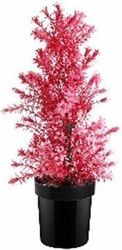 Planta decorativa artificiala roz ghiveci cu flori 60 cm GLN 251A