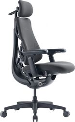 Scaun ergonomic LiberNovo Omni GEN de 45 cm (grafit)