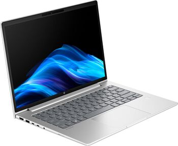 HP Probook 4 G1a (C07P5ES) (argintiu, AMD Ryzen 5 230, AMD Radeon 760M, 24 GB DDR5, 1 TB (1 TB SSD), fara sistem de operare) - Layout DE