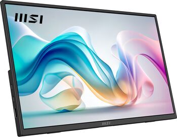 MSI PRO MP165DE E6 (39.6 cm, negru, FullHD, IPS, HDMI, USB-C, boxe)