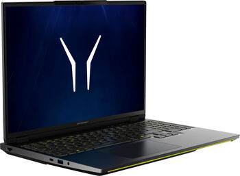 Laptop Medion ERAZER Beast 16 X15 Ultimate (MD600070) (negru, AMD Ryzen 9 8940HX, NVIDIA GeForce RTX 5070 Ti, 32 GB DDR5, 1 TB (1 TB SSD), Windows 11 Home) - Layout DE