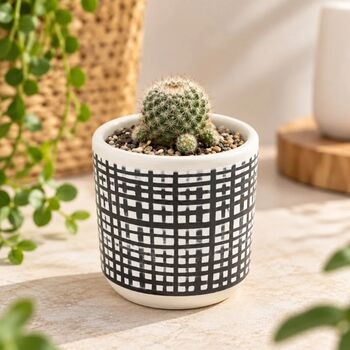 Ghiveci ceramică 9x9 cm model linii perpendiculare