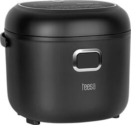 Teesa aparat de gătit orez 12-24V/230V