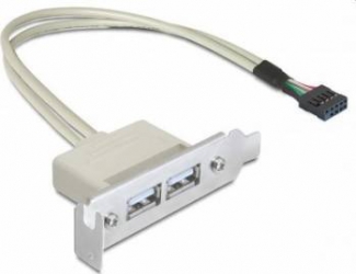 Adaptor Bracket Delock 2xUSB 2.0 low profile 