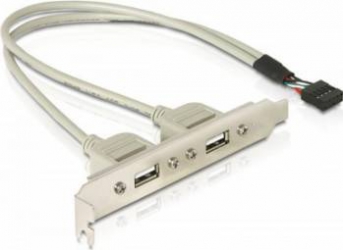 Adaptor Bracket Delock 2xUSB2.0 