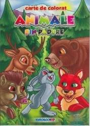 Animale din padure - Carte de colorat 