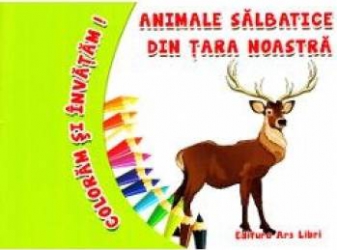 Animale salbatice din tara noastra - Coloram si invatam 