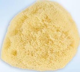 Burete natural Zimocca Grunspecht 510 