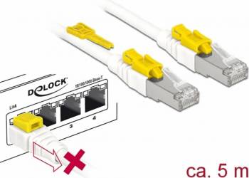 Cablu Delock de retea RJ45 cat 6A cu sistem de blocare 5m 