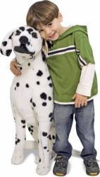 Catel Dalmatian din plus 