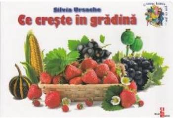 Ce creste in gradina - Silvia Ursache 
