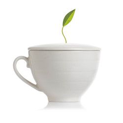 Ceasca din portelan Cafe Cup 230ml 