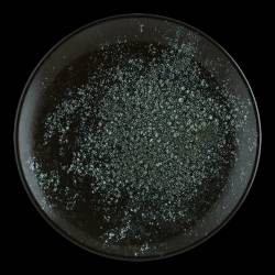 Farfurie 24cm BONNA-COSMOS BLACK 