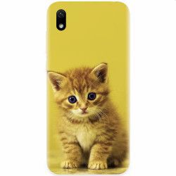 Husa silicon pentru Huawei Y5 2019 Baby Kitten 
