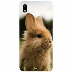Husa silicon pentru Huawei Y5 2019 Cute Rabbit In Grass 