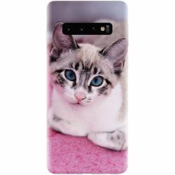 Husa silicon pentru Samsung Galaxy S10 Siamese Kitty 