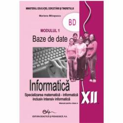 Informatica. Manual pentru clasa a XII-a modulul 1 BD M1