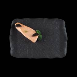 Platou dreptunghiular BONNA colectia SHADE 33x23cm 
