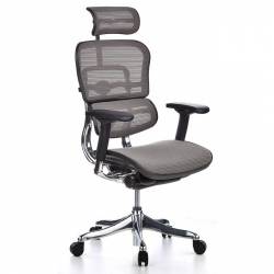 Scaun Ergohuman v2 Plus Elite mesh 3D Gri cu tetiera 2D suport lombar brate reglabile 4D QMOBILI 