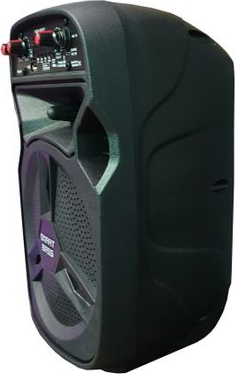 Boxa Profesionala Portabila Klausstech 20 W Display Led Microfon Inclus