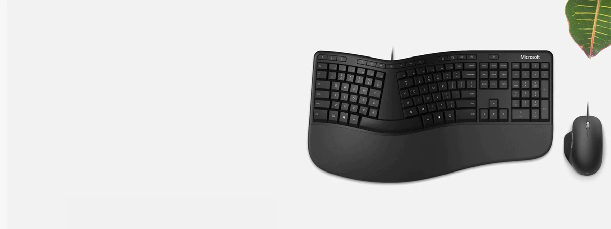 Microsoft Ergonomic for Business Black | Kit tastatura + mouse rjy-00021