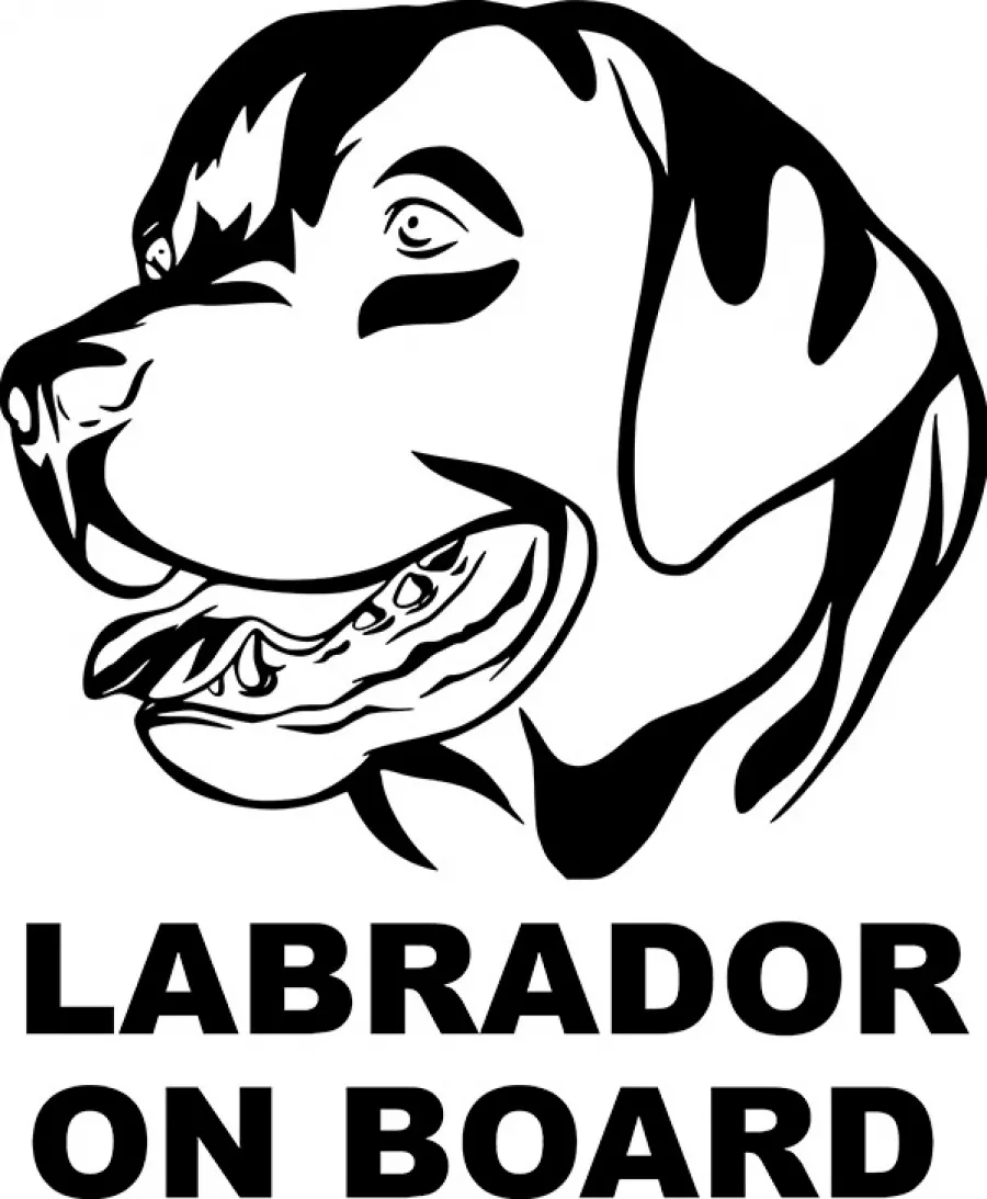 Sticker Auto Decorativ Labrador On Board Alb 21x27 cm stadog5_alb - cel.ro