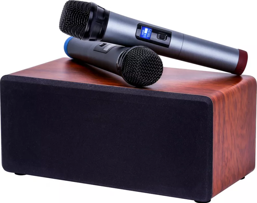 N-S10 BT 5.0 Difuzor wireless UHF Camera microfon DSP audio la CEL.ro