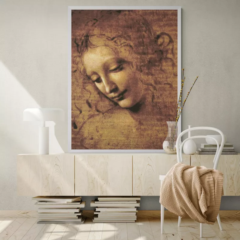Leonardo Da Vinci Tekeningen Van Vrouwen