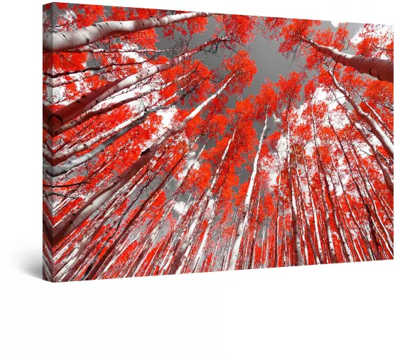 Tablou DualView Startonight Portret De Leu Luminos In Intuneric 80 Cm X 120 Cm Pnyu0ptyunq L