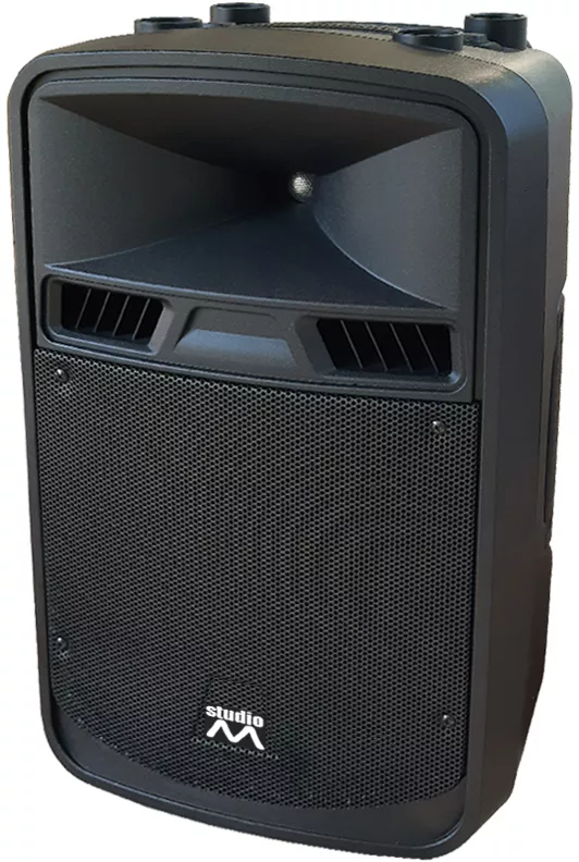 Boxa activa biamplificata Studio-M CA12D 12 inch 015844 - cel.ro