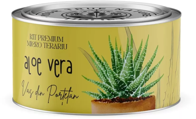 Kit Premium Micro Terariu cu seminte de Aloe Vera Uplift Elements xur7 ...