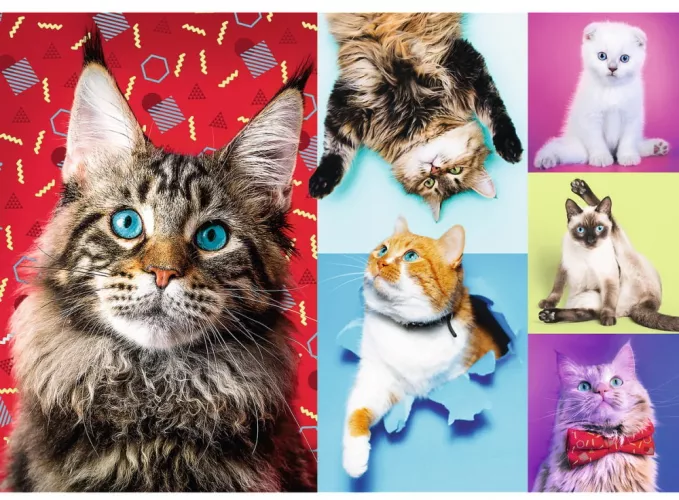 Puzzle Trefl pisicuțe fericite 1000 piese — imaginea 4