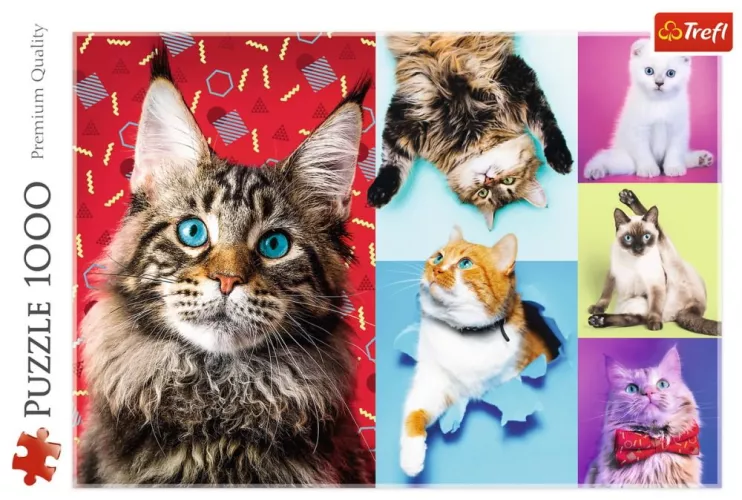 Puzzle Trefl pisicuțe fericite 1000 piese — imaginea 5