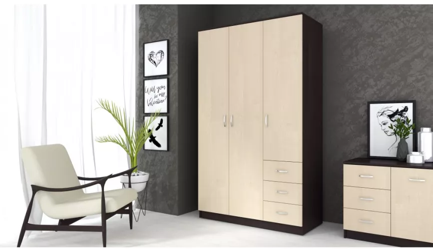 Dulap Ionut 120x50x200 cm wenge/mesteacan
