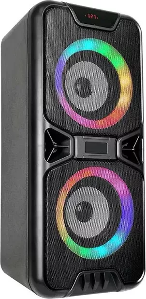 Boxa Wireless Portabila 20W 2x4 Inch FM USB
