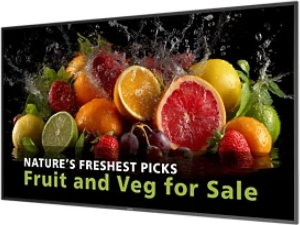 digital signage 189 cm 74.5" 4K ADS Philips UHD UltraHD HDMI DisplayPort Boxe Negru - imagine 1