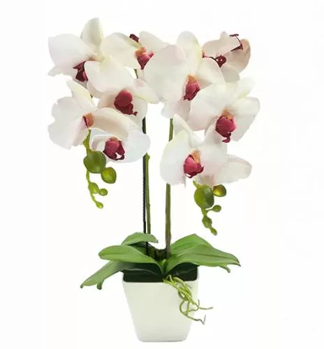 Aranjament Floral Orhidee Artificiala Ghiveci cu 2 Tulpini la CEL.ro